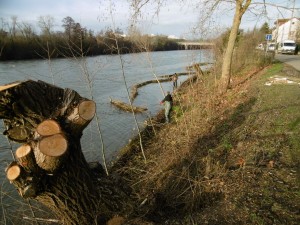 2016,eragny,aménagement,entretien,22-12-2015_06